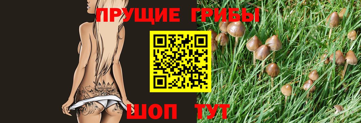 Галлюциногенные грибы Magic Shrooms Уварово