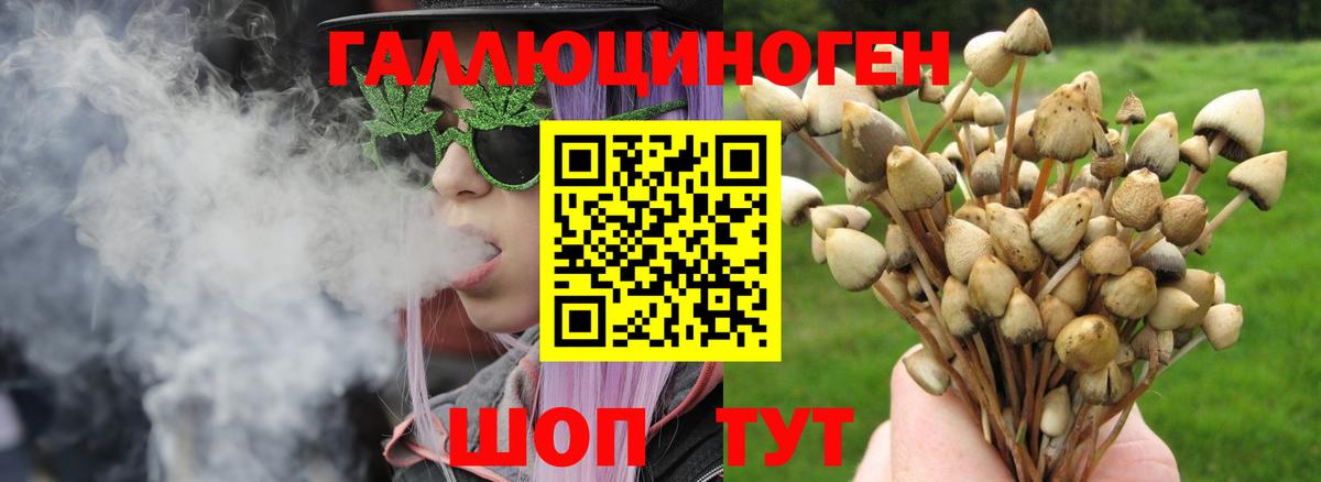 купить закладку  Вход с VPN  Уварово  Галлюциногенные грибы Magic Shrooms 